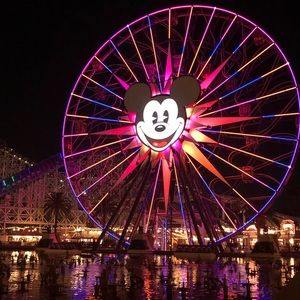 Meet your Posher, Liz